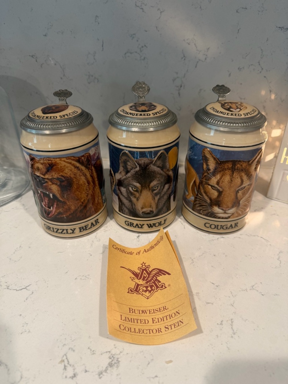 Budweiser Steins